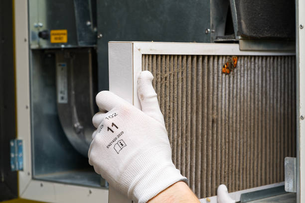 Best Air Duct Mold Removal  in Racend, LA
