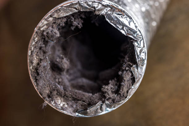Best Local Air Duct Cleaning Services  in Racend, LA